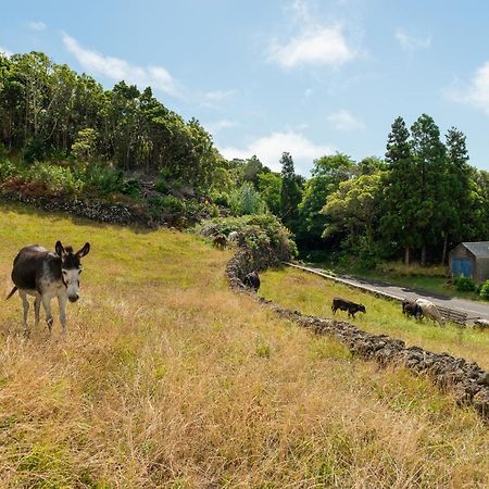 Vila Casa Da Figueirinha Calheta de Nesquim Exteriér fotografie