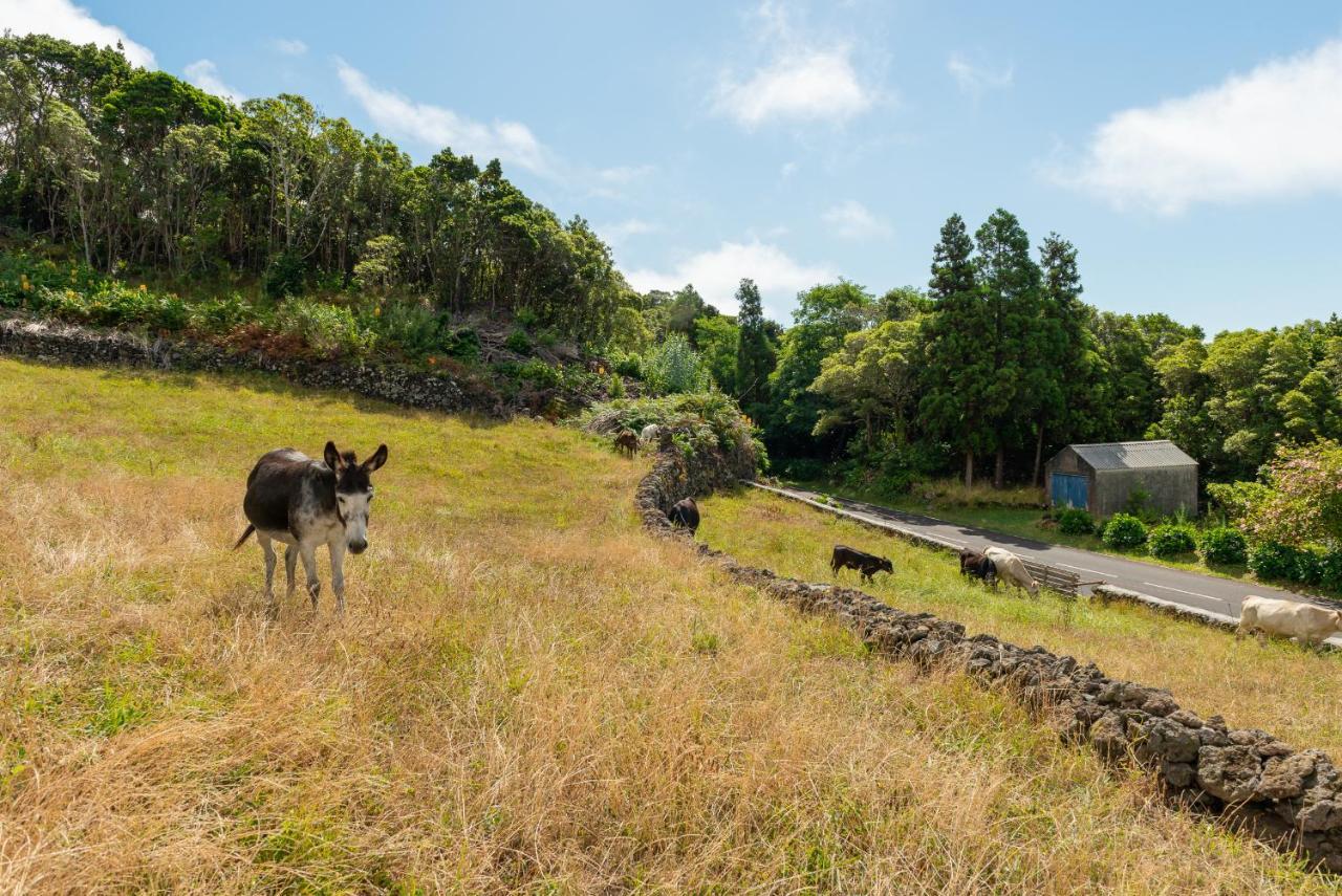 Vila Casa Da Figueirinha Calheta de Nesquim Exteriér fotografie